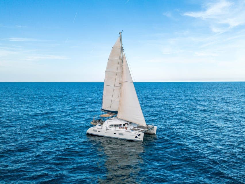 Catamaran Cruise w/ Sailing, Swim, Wine, & Tapa Gallery Image 4