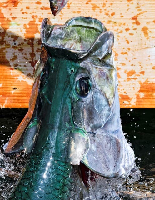 Fort Lauderdale to Islamorada Day Trip Gallery Image 3