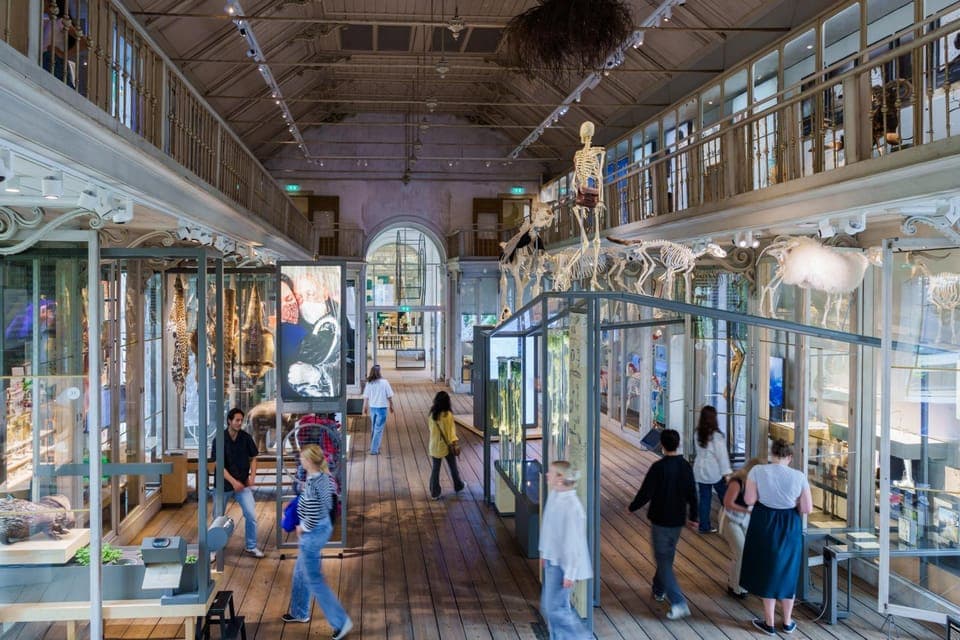 ARTIS-Groote Museum Entry Ticket Gallery Image 1