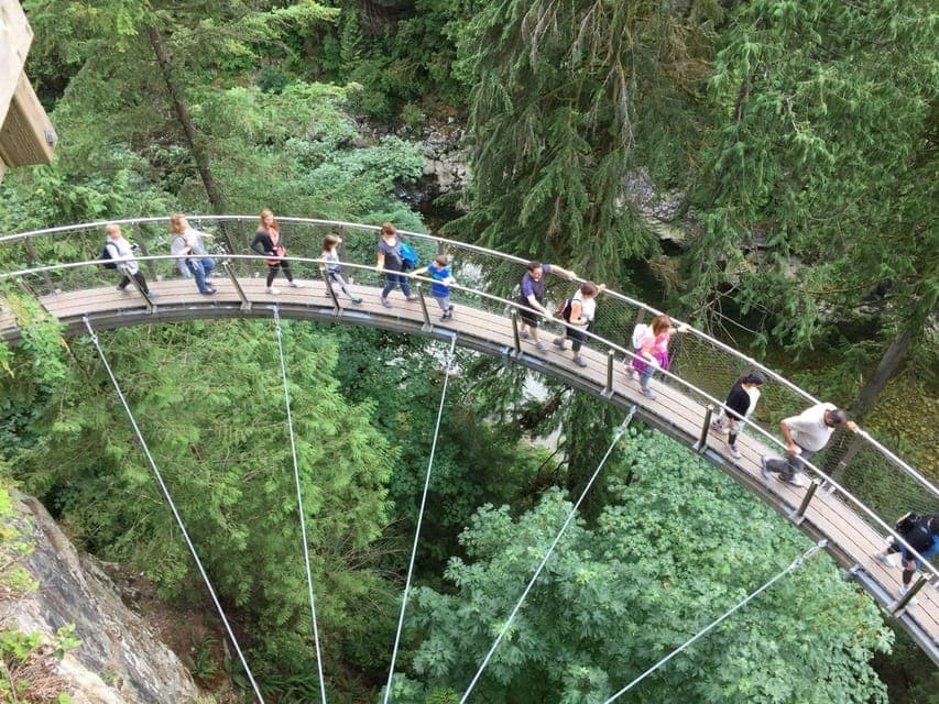 City and Mountain Adventure with Grouse Mountain Gallery Image 4