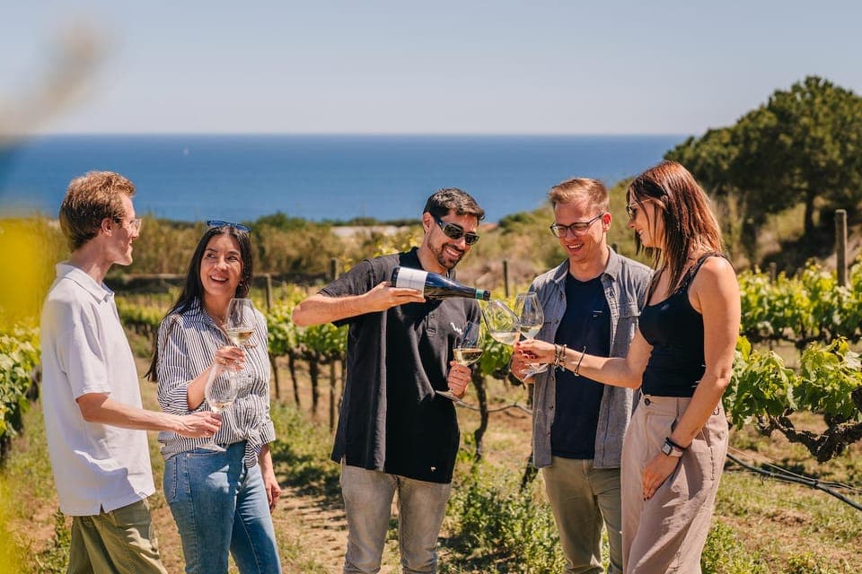 Sailing Cruise & Vineyard Tour with Wine Tasting - Image 3