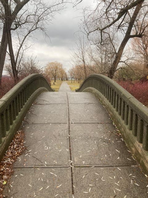 Toronto Islands Fall Walking Tour Gallery Image 3