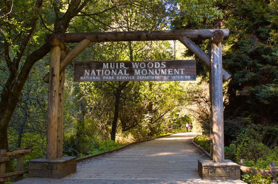 SF: Muir Woods, Sausalito, Golden Gate Bridge Private Tour - Image 2