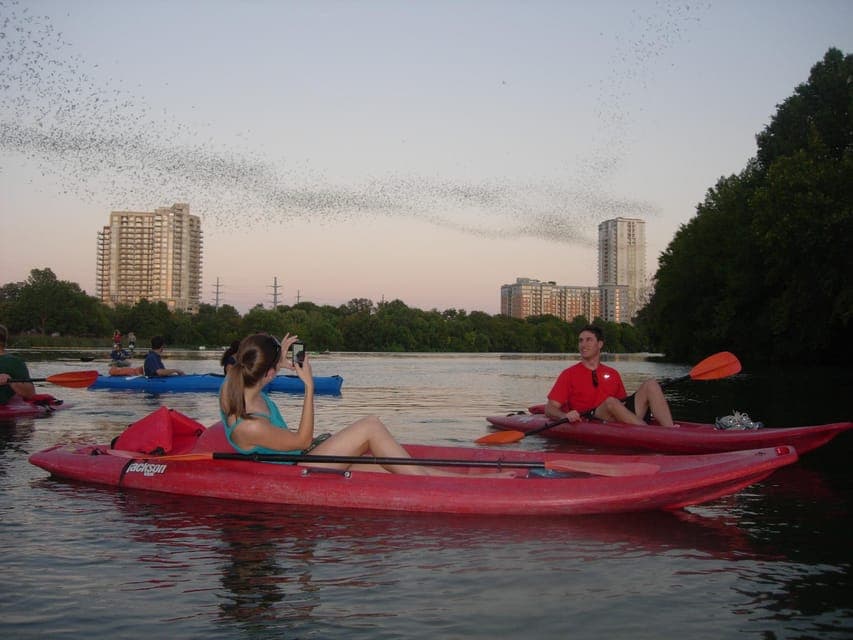 Guided Bat-Watching Kayak Tour Gallery Image 1