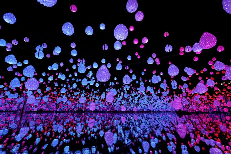 Arte Museum Las Vegas Immersive Art Exhibition Gallery Image 4