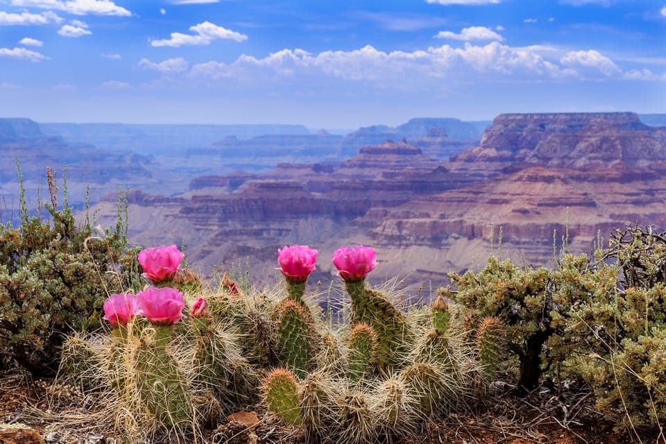 Grand Canyon, Antelope, Sedona & Zion, 7-Day Tour Gallery Image 1