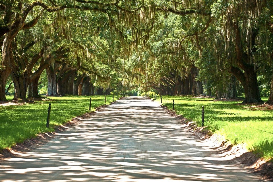 Louisiana: Laura, Oak Alley, or Whitney Plantation Tours Gallery Image 2