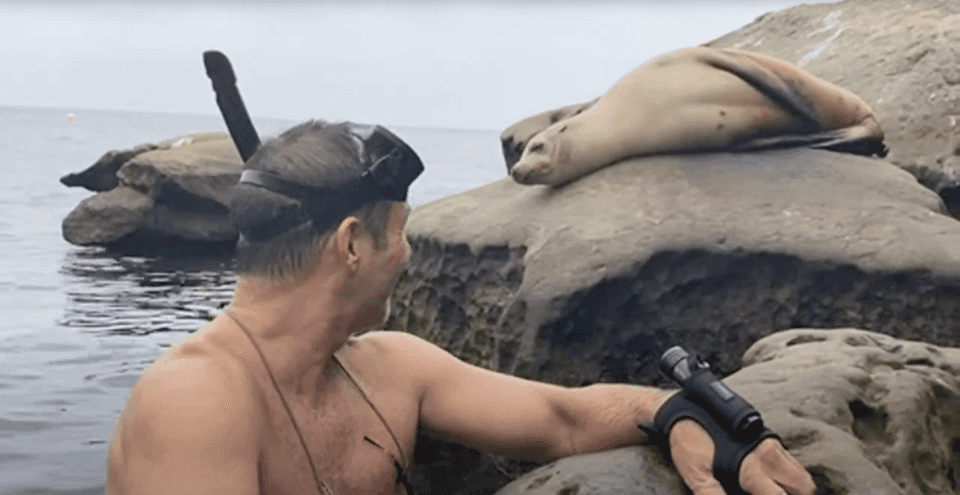 Redondo Beach: Kayak & Snorkel with Sea Lions Tour Gallery Image 3