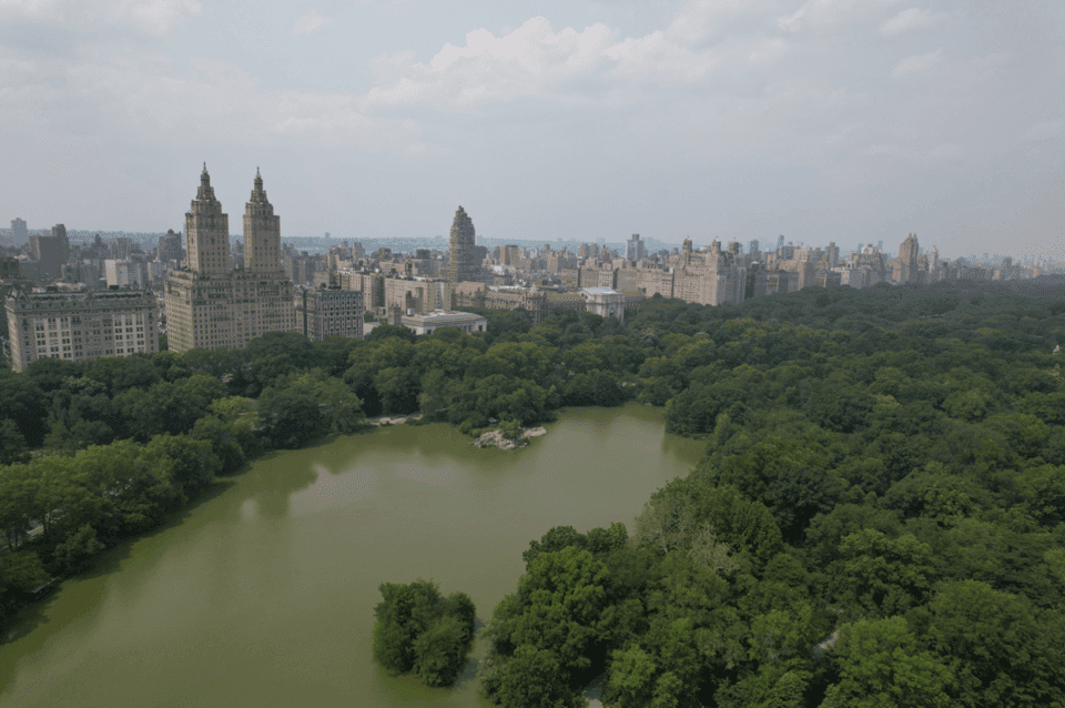 Official VIP Whole Central Park Horse Carriage Tour Gallery Image 3