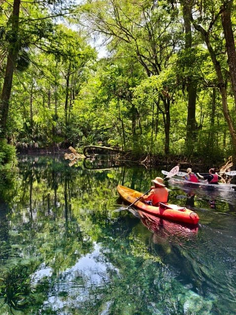 17. Small Group Silver Springs State Park Day Tour from Orlando - Image 17
