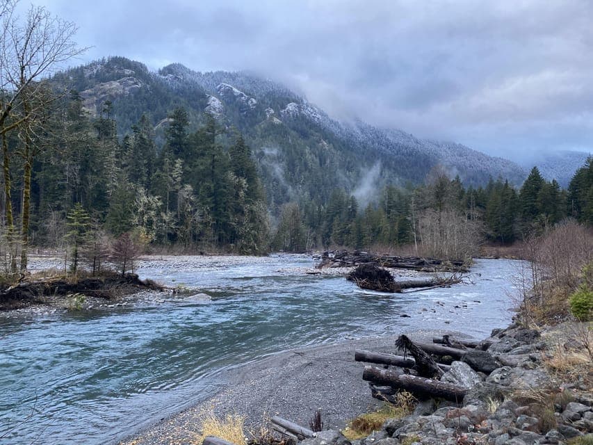 8. Olympic National Park: Half-Day Tour - Image 8
