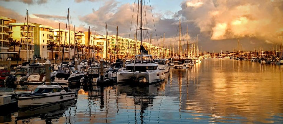 1. Capture LA's Coastal Magic-Wildlife, Marina Photography Tour - Image 1