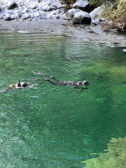 Rainforest Waterfall Hike and Suspension Bridge Gallery Image 2
