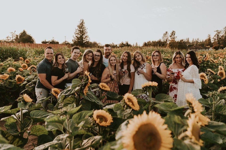 Fraser Valley Wine Tour with Tastings Gallery Image 3