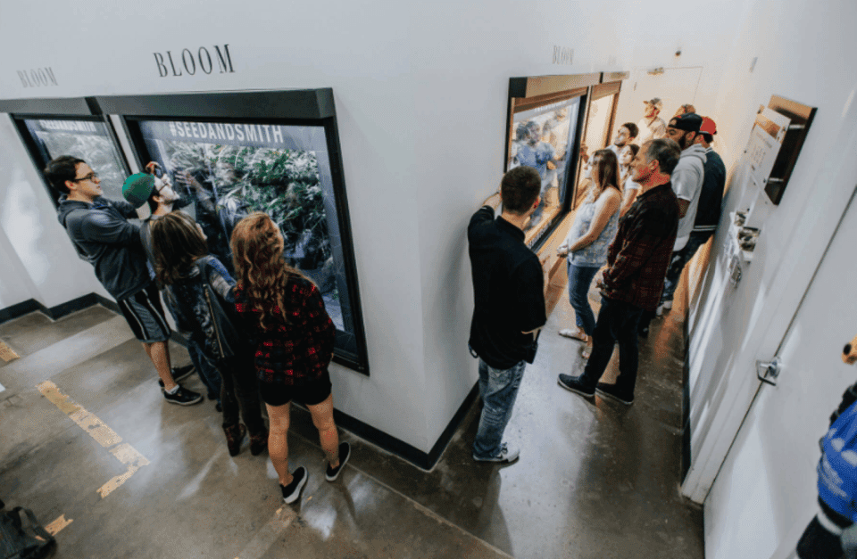 Buds & Brews Cannabis Grow Tour and Brewery Visit Gallery Image 4
