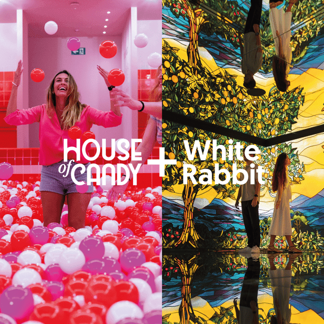 Barcelona Pass: White Rabbit & House of Candy Combo Ticket Gallery Image 1