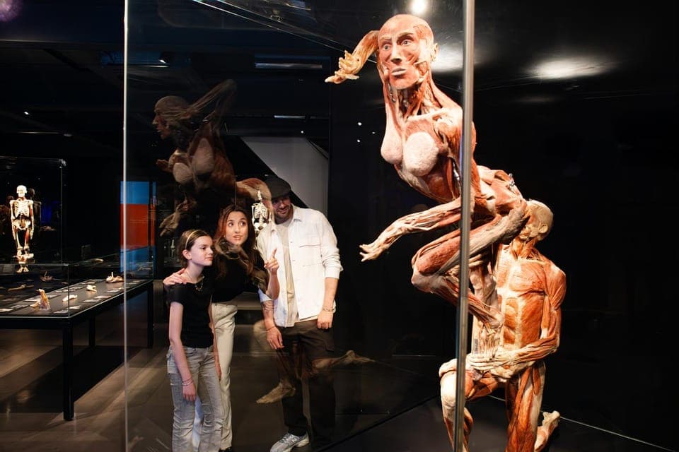Body Worlds Amsterdam: The Happiness Project Ticket Gallery Image 3