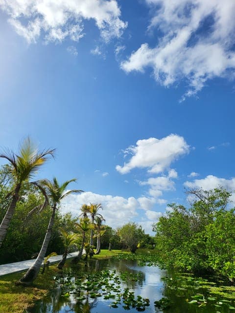 Everglades: boat tour with transportation& entrance included Gallery Image 4