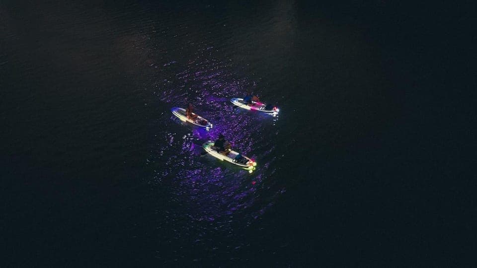 Glow Paddleboard Tour Gallery Image 3