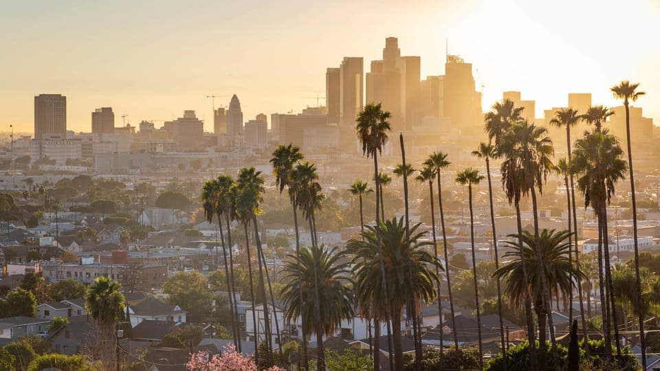 Los Angeles Airport: One-Way Private Transfer to Los Angeles Gallery Image 4