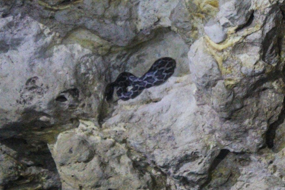 28. From Cancun: Kantemó Snake Cavern Adventure - Image 28