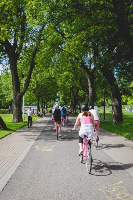 Non Touristy Pink Bike Tour Gallery Image 4