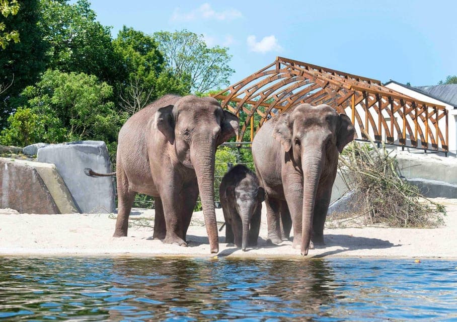 ARTIS: Historical Zoo directly on the old canal Gallery Image 1