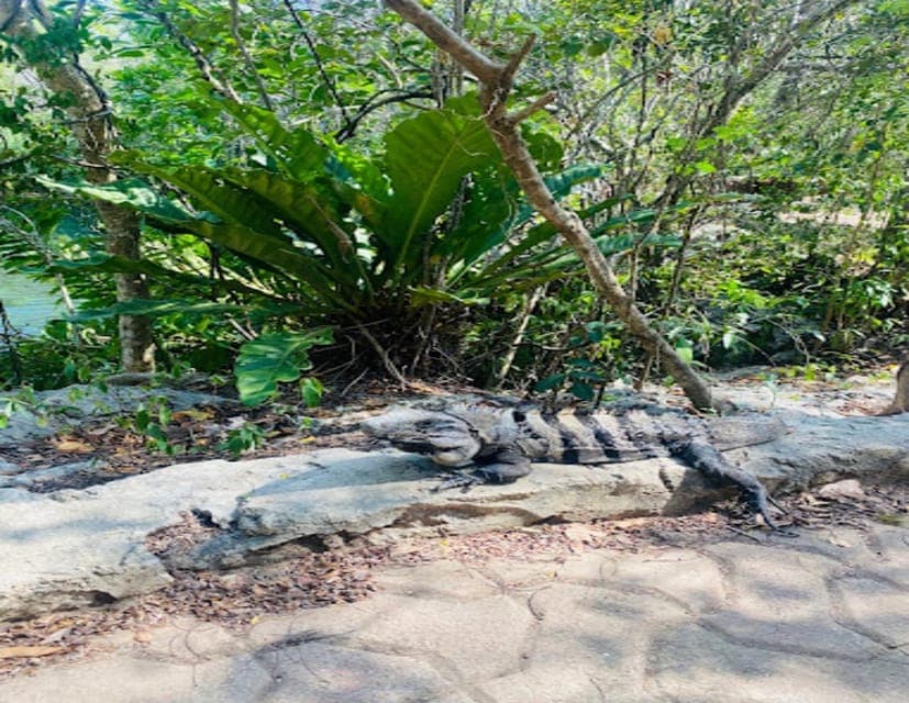 Cancun: Tour to Chichén Itzá and Valladolid Gallery Image 1