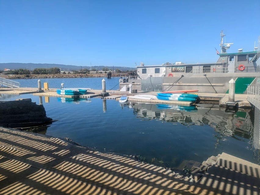 Redwood City: Stand-Up Paddleboard Rental Gallery Image 4