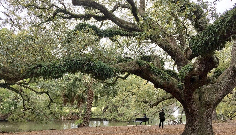 New Orleans Favorites: Beyond the French Quarter Tour Gallery Image 3