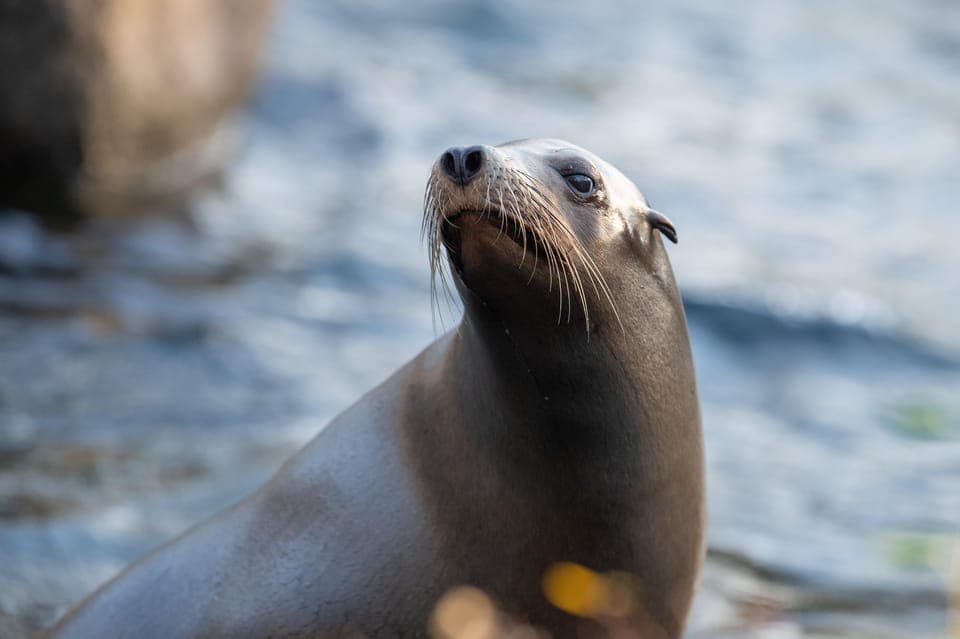Bronx Zoo Entry Ticket Gallery Image 4