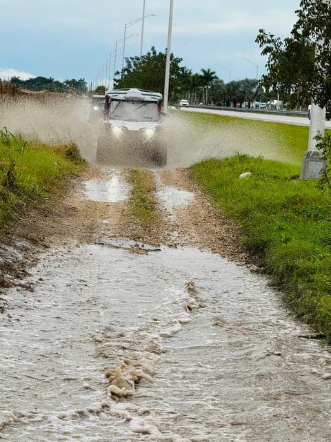 Miami's Ultimate Buggy Adventure on a Honda Talon UTV Gallery Image 2
