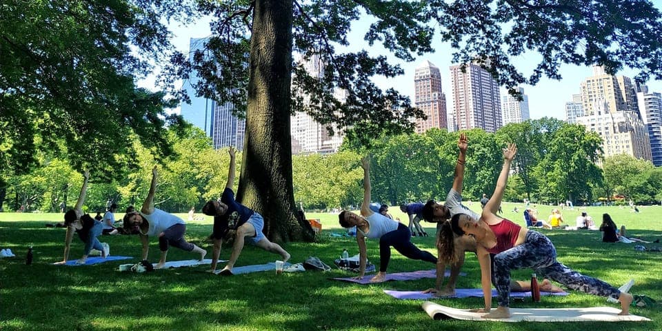 Central Park, New York: Yoga Classes in the park since 2012 Gallery Image 4