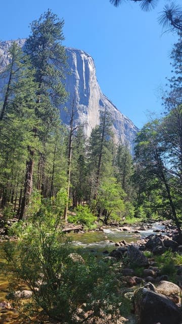 Yosemite and Sequoia National Parks 2-Day Trip Gallery Image 3