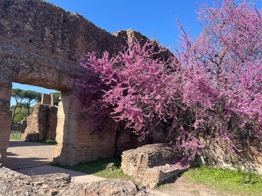 36. Domus Tiberiana, Forum, and Palatine Hill Tour up to 6 - Image 36