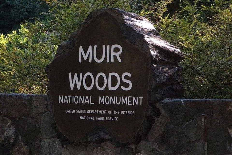 Muir Woods, Sausalito, and Tiburon Day Trip Gallery Image 1