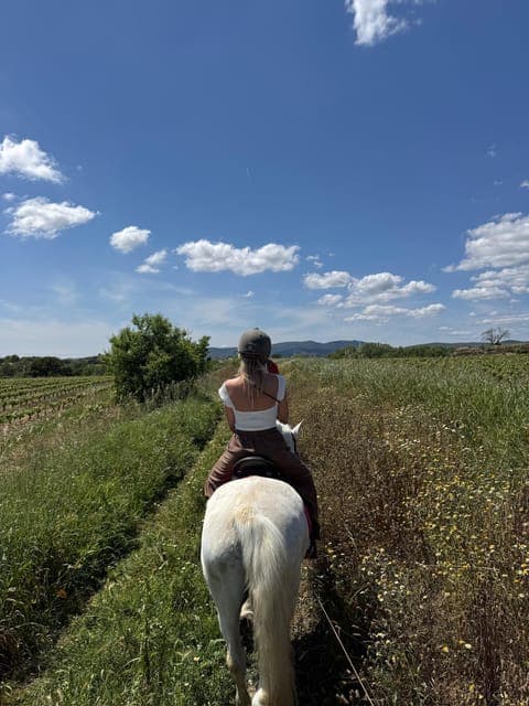 Vineyard Horseback Riding & Wine Tasting + Tapas Gallery Image 2