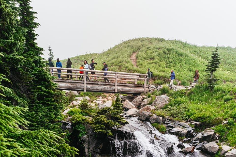 Mount Rainier National Park Guided Tour Gallery Image 1