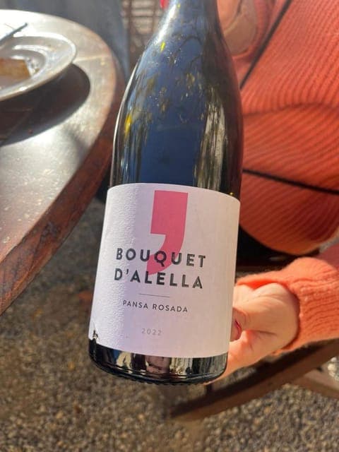 Sailing and Alella Winery Tour with Wine Tasting Gallery Image 4