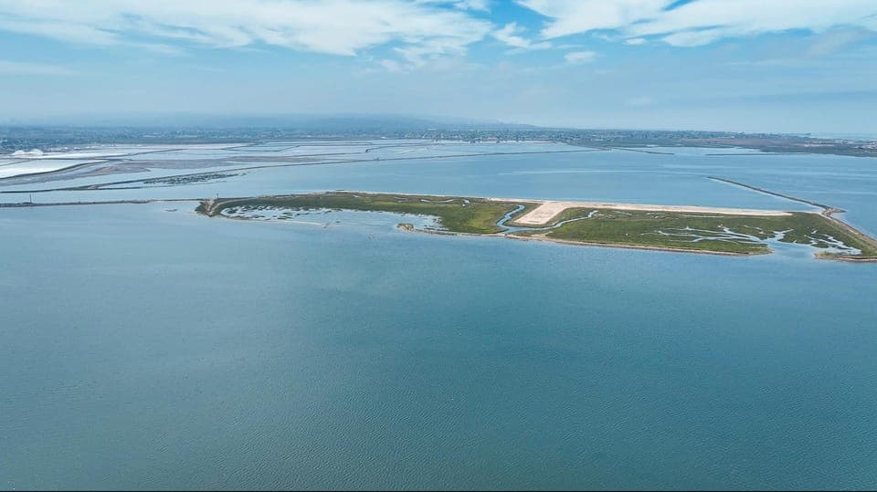 Crystal Clear Wildlife Kayak Tour Gallery Image 4