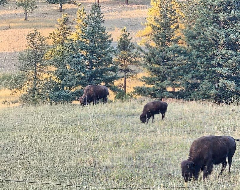 Get High on a Mountain Tour with Sunset Views Gallery Image 4