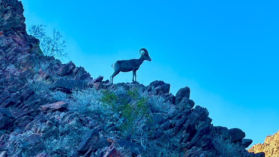 Camping Las Vegas Trip from Base of Hoover Dam, Black Canyon Gallery Image 2