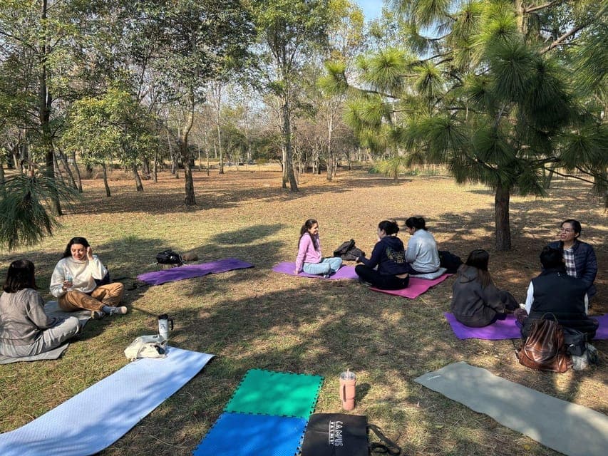 CDMX: Nature Therapy Guided Session Gallery Image 1