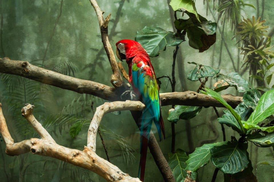 Central Park Zoo Skip-the-line Tickets & Private Transfers Gallery Image 3