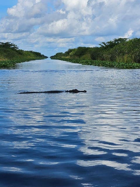 Everglades: on Flat Propelled Boat with Transportation Gallery Image 3