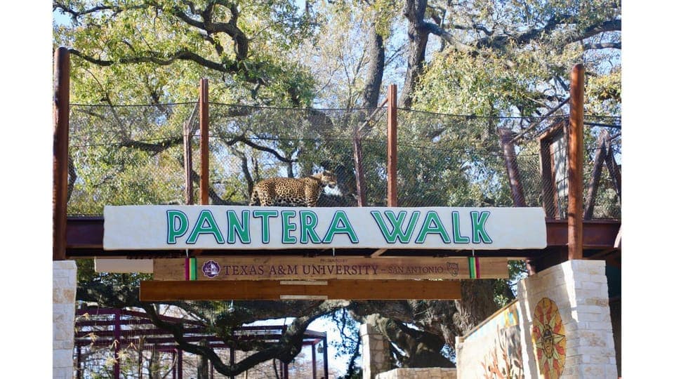 San Antonio Zoo Any Day Ticket Gallery Image 3