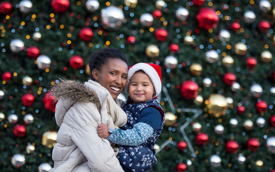 Vancouver’s Festive Shoreline: A Christmas Walking Tour Gallery Image 3