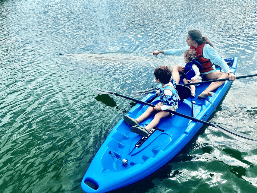 Manatee Season Paddleboard or Kayak Tour Gallery Image 4
