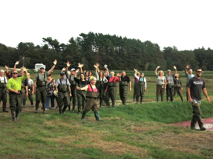 Become A Cranberry Bogger for a Day Experience Gallery Image 2