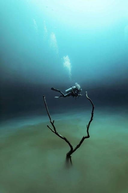 From Cancun: The Pit and Dos Ojos Cenote Diving Experience Gallery Image 4